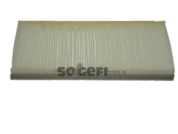 Filter, cabin air (CF8831)