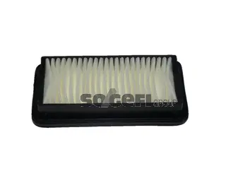 Air Filter (CA10201)