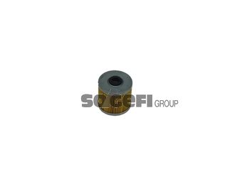 Fuel Filter (C11859PL)
