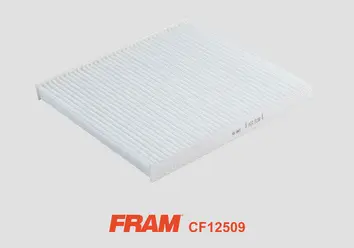 Filter, cabin air (CF12509)