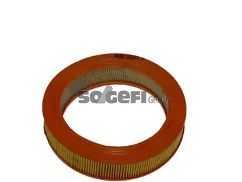 Air Filter (CA660PL)