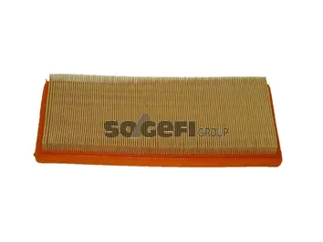 Air Filter (CA10334)