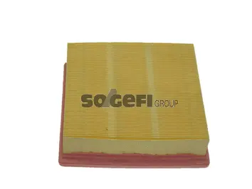 Air Filter (CA3399)