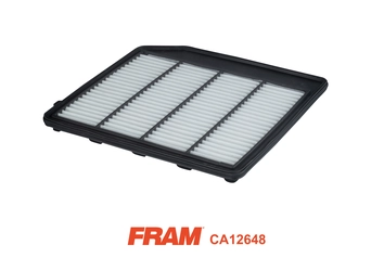 Air Filter (CA12648)