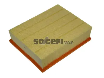 Air Filter (CA9409)