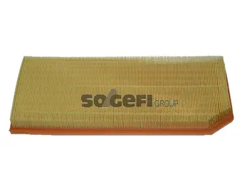 Air Filter (CA10256)