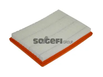 Air Filter (CA9838)