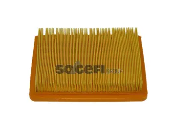 Air Filter (CA5646)
