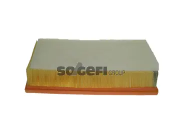 Air Filter (CA10756)