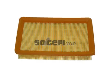 Air Filter (CA9392)