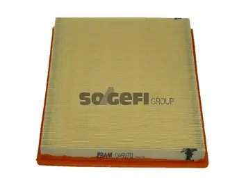 Air Filter (CA5970)