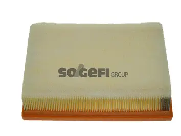 Air Filter (CA10446)