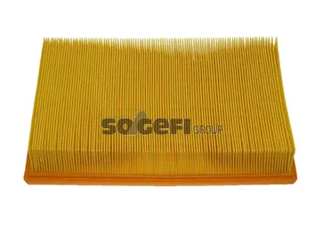 Air Filter (CA9073)