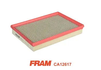 Air Filter (CA12617)