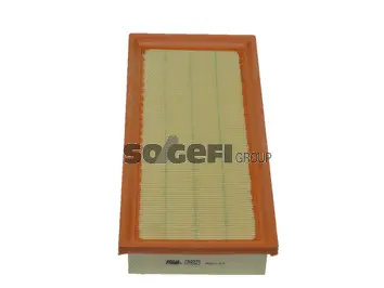 Air Filter (CA9923)