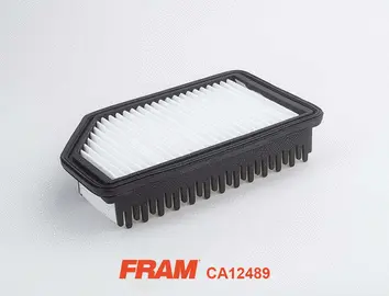 Air Filter (CA12489)