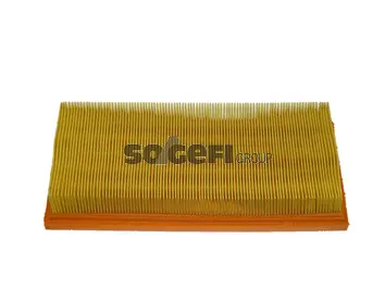 Air Filter (CA5695)