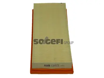 Air Filter (CA9126)