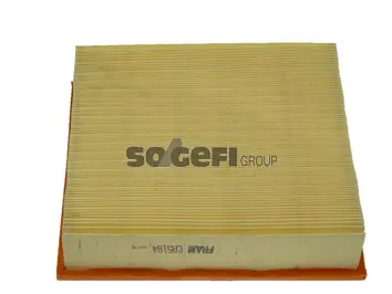 Air Filter (CA5184)