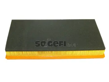 Air Filter (CA8829)