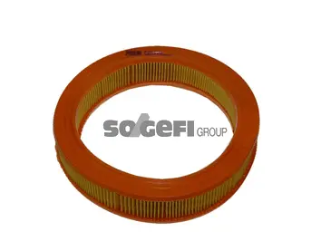 Air Filter (CA2729)