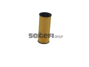 Oil Filter (CH10955ECO)