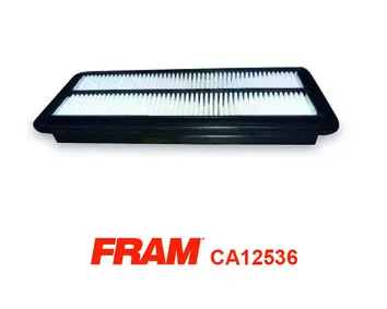 Air Filter (CA12536)