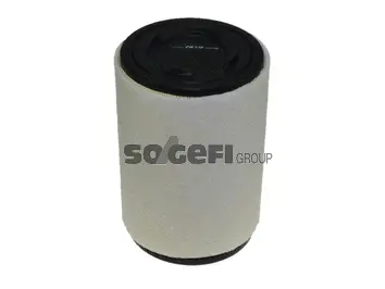 Air Filter (CA11198)