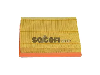 Air Filter (CA10696)