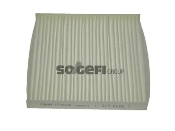 Filter, cabin air (CF9686)