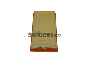 Air Filter (CA3441)