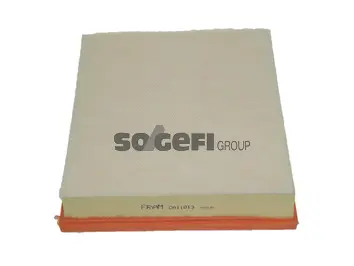 Air Filter (CA11013)