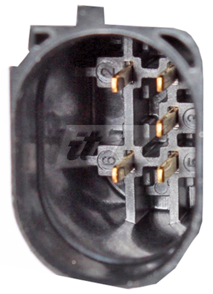 EGR Valve