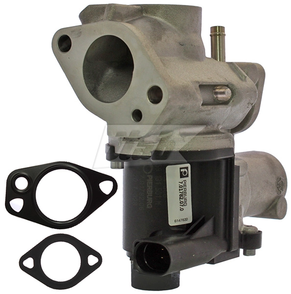 EGR Valve (73073007OV)