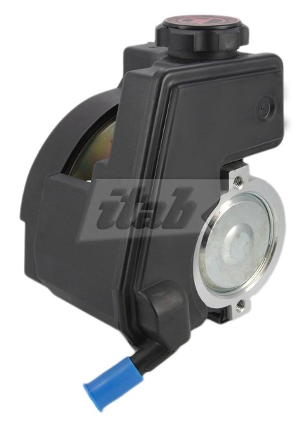 Hydraulic Pump, steering (42070121AV)