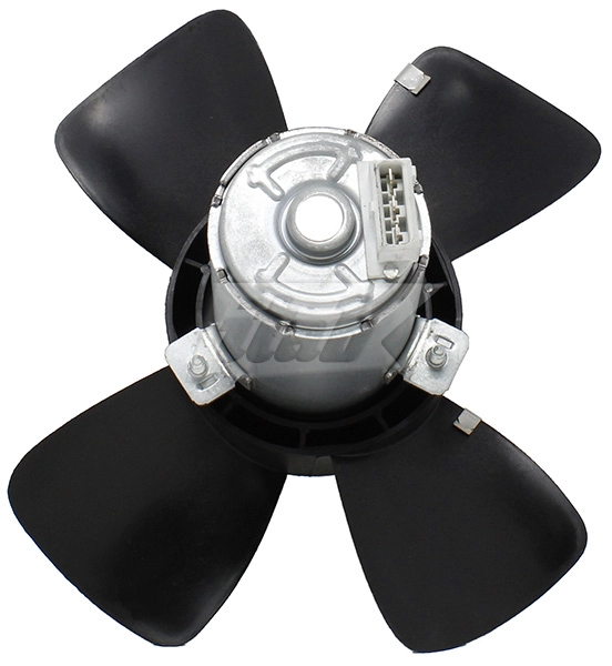 Fan, engine cooling