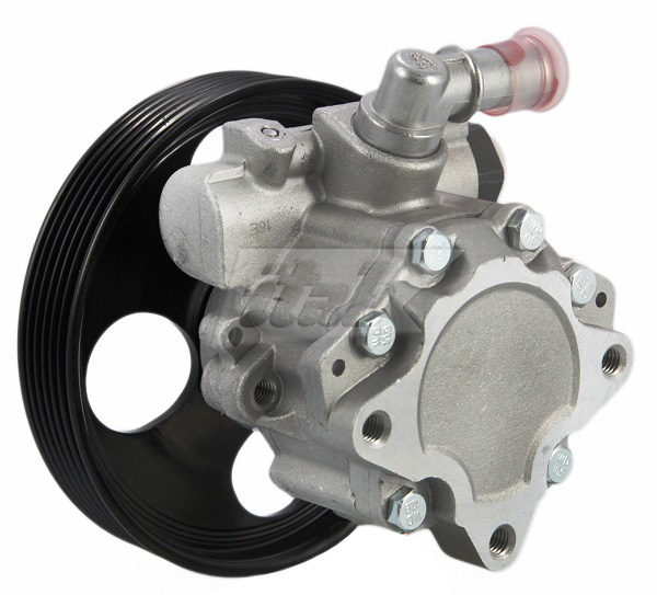 Hydraulic Pump, steering (42070122AV)