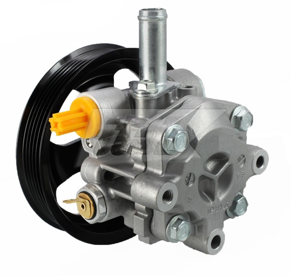 Hydraulic Pump, steering (42085110AV)