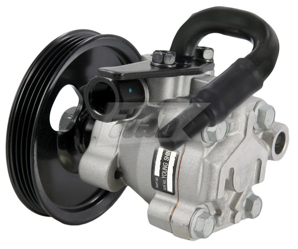 Hydraulic Pump, steering (42078122OV)