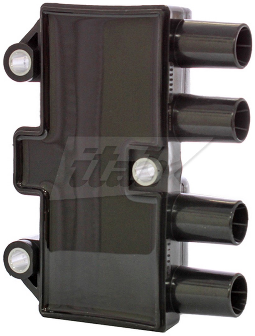 Ignition Coil (80077004AV)