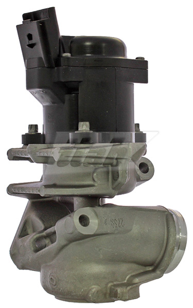 EGR Valve (73075006OV)