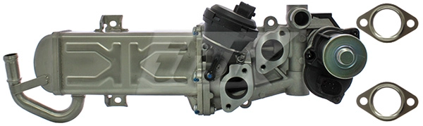 EGR Module