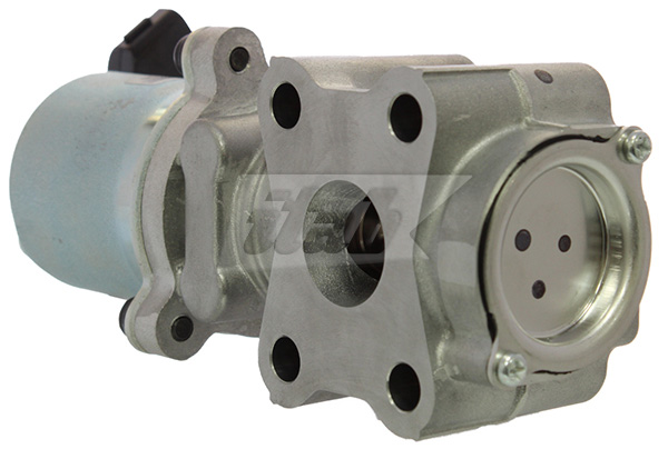 EGR Valve (73086003OV)