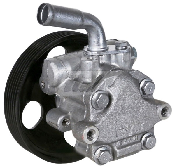 Hydraulic Pump, steering (42072103AV)