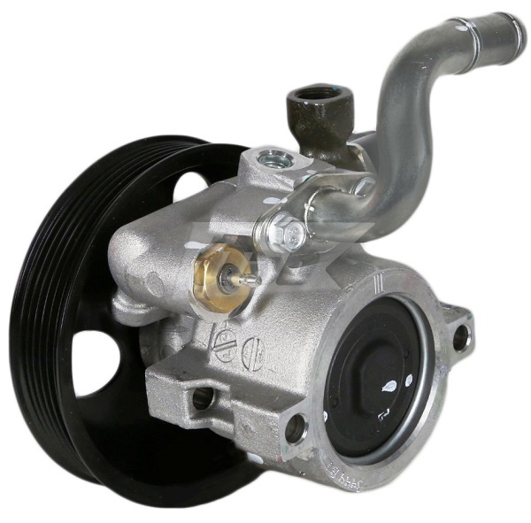 Hydraulic Pump, steering (42077109OV)