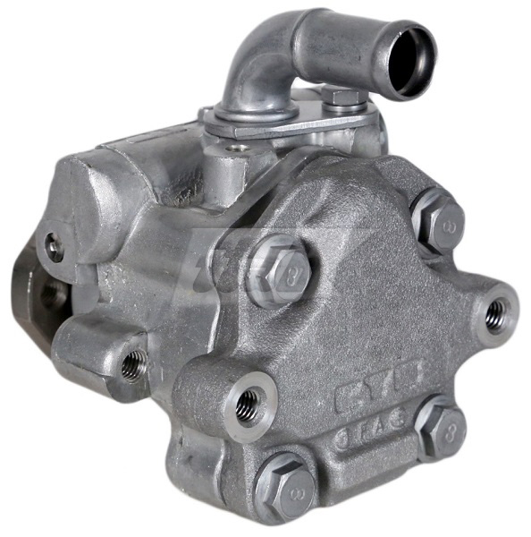 Hydraulic Pump, steering (42073108AV)
