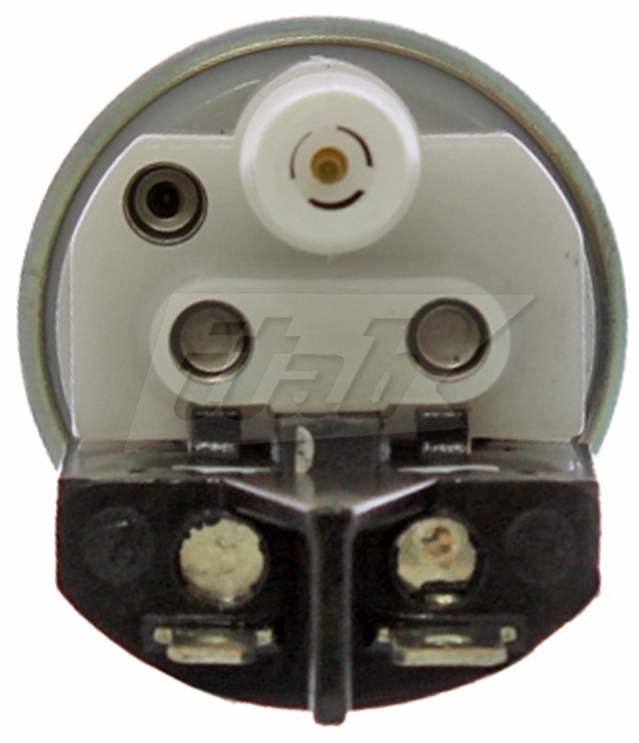 Fuel Pump (91070102AV)