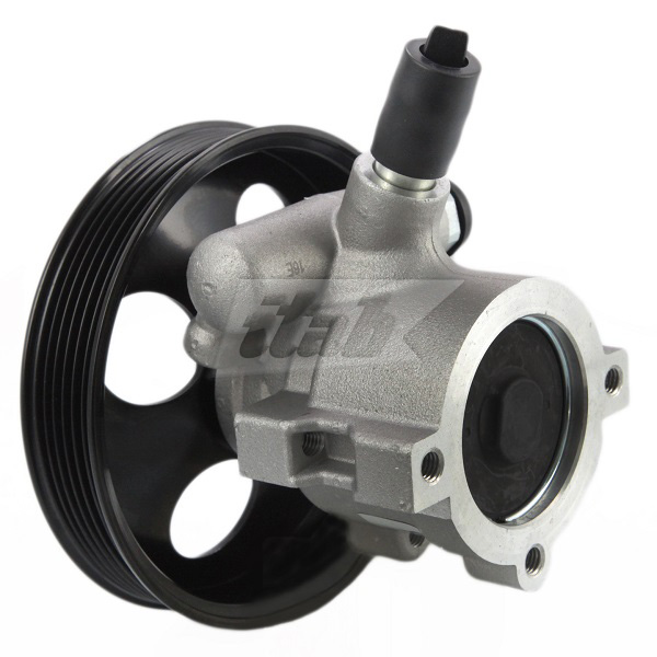 Hydraulic Pump, steering (42070109AV)