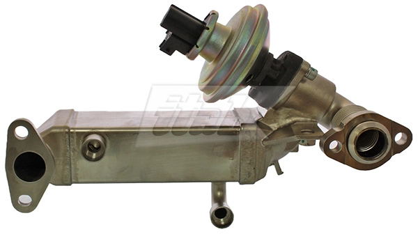 EGR Module