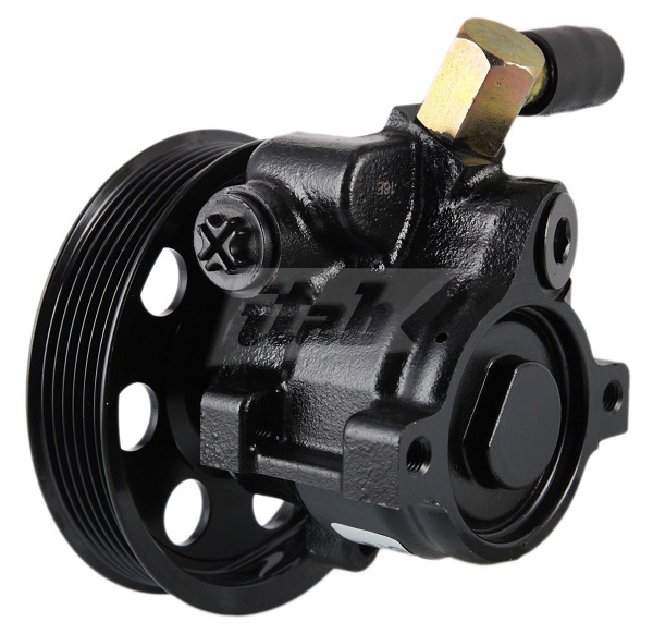 Hydraulic Pump, steering (42072140AV)